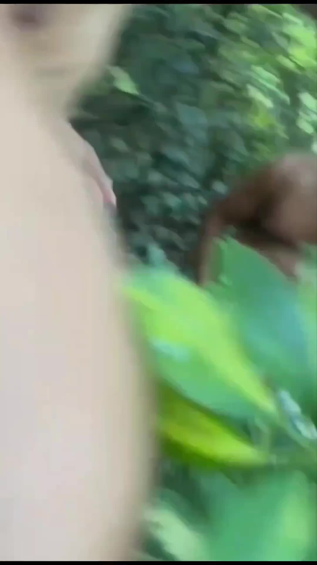 Today a mine appeared on the Internet throwing itself in an orgy with strangers in the bush