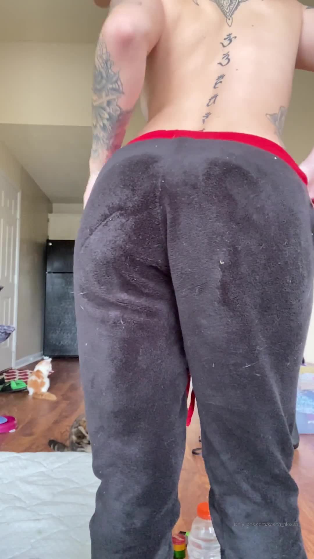 Sasha Alexandria, the brand new, shakes the utmost and plays the pussy
