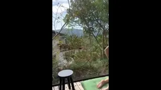 Preview of Fell on the internet, a young girl giving a show with her whole body naked
